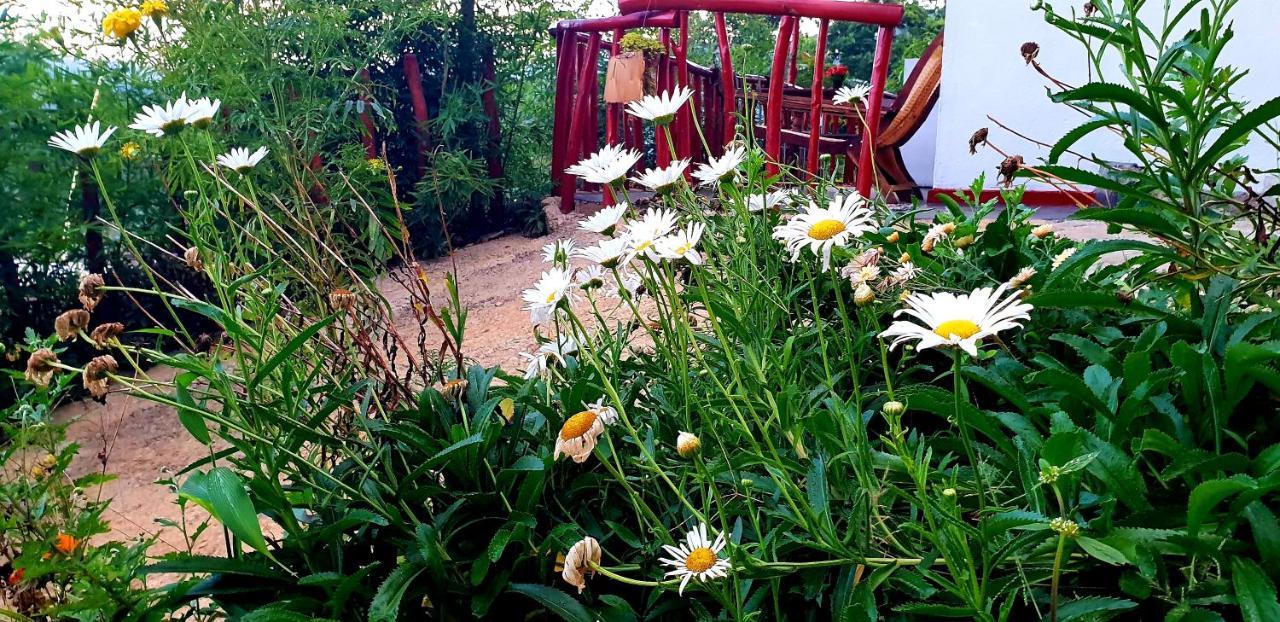 Bed and Breakfast Adannz Ella Esterno foto